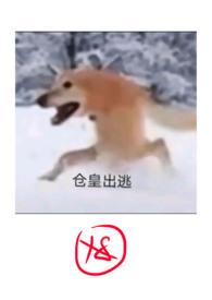 沦为废人