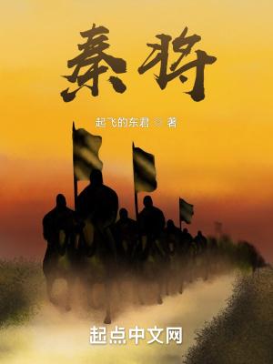 秦将军智能锁是几线品牌