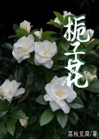 栀子花免费阅读