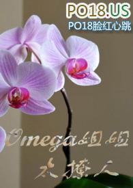 omega小姐姐太撩人