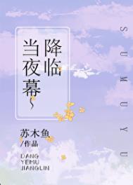 当夜幕降临时