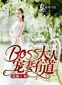 boss大人宠无度免费阅读