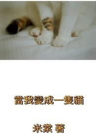 当我变成一只猫作文300字