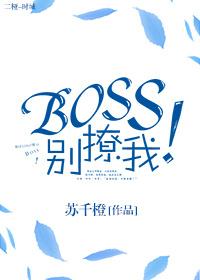 boss别闹