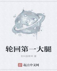 轮回一姐什么意思