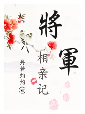 将军恋爱