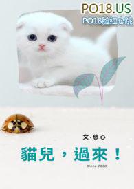 猫儿过来张书阳