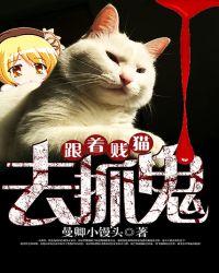 猫跟着主人去门口