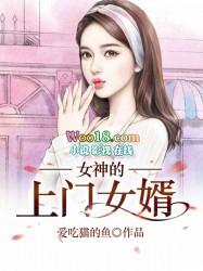 女神的上门女婿全文免费赵旭阅读完整版6688