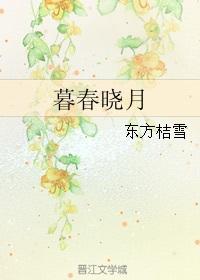 暮晓txt