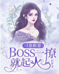 刁蛮新妻boss一撩就起火