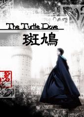 【lvss】the turtle dove 斑鸠