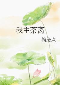 我主阿茶结局