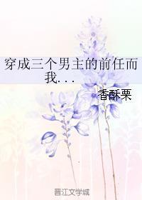 穿成三个男主的前任而我txt