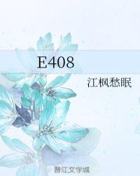 E408GL百度