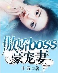 傲娇boss狂宠妻