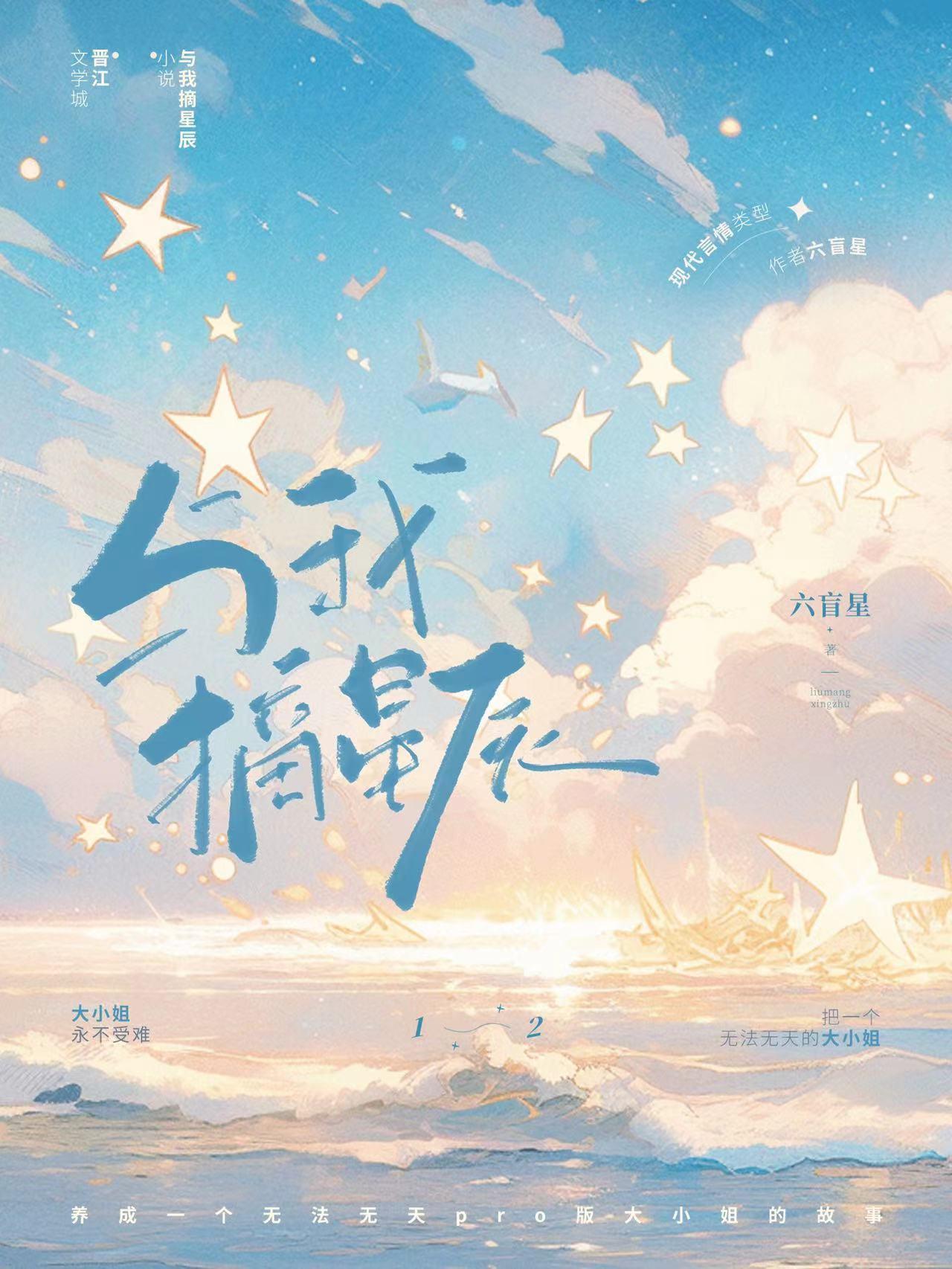 与我摘星辰六盲星免费阅读