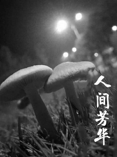 悠悠种草人间芳华