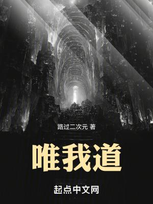 唯我道无无错版笔趣阁