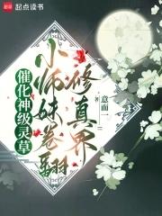 小师妹技能怎么升级