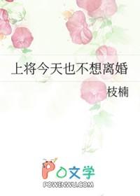 上将不想装beta