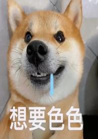 当狗的人