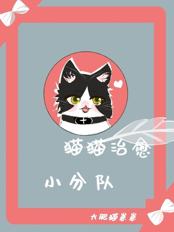 小猫咪太治愈