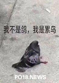 “活化石”是什么