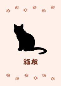 猫死了咋处理