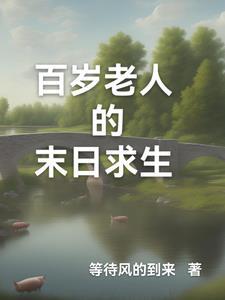 主角是百岁老人的