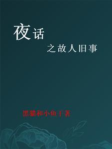 暗夜流光故人旧事