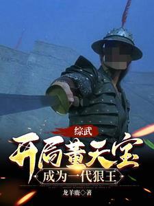 综武开局董天宝成为一代狠王免费阅读