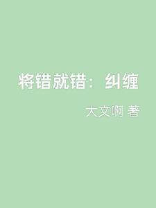 将错就错第十三集