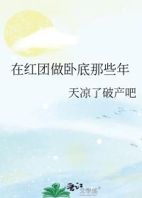 海贼王之我在红发海贼团