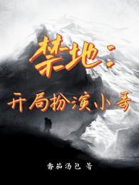 队友小哥