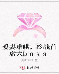 爱妻难哄，冷战首席大boss